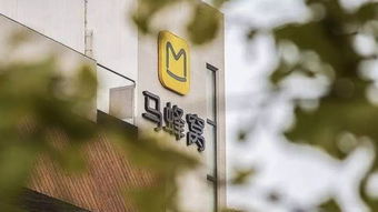 章澤天卸任劉強(qiáng)東關(guān)聯(lián)公司董事，團(tuán)貸網(wǎng)案凍結(jié)資金31.1億元，ofo承諾負(fù)責(zé)到底 互聯(lián)網(wǎng)信息服務(wù)領(lǐng)域動態(tài)匯總